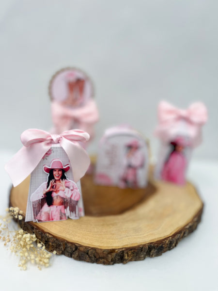 Ana Castela- Boiadeira - Set 20pcs