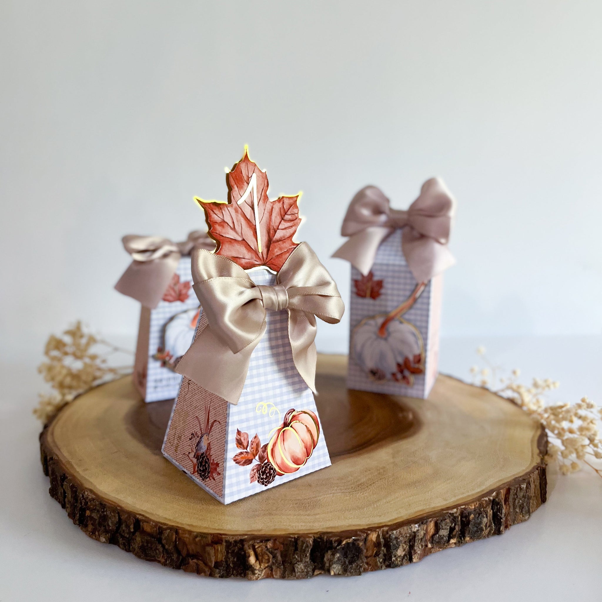 Pumpkin- Autumn -Set 20pcs