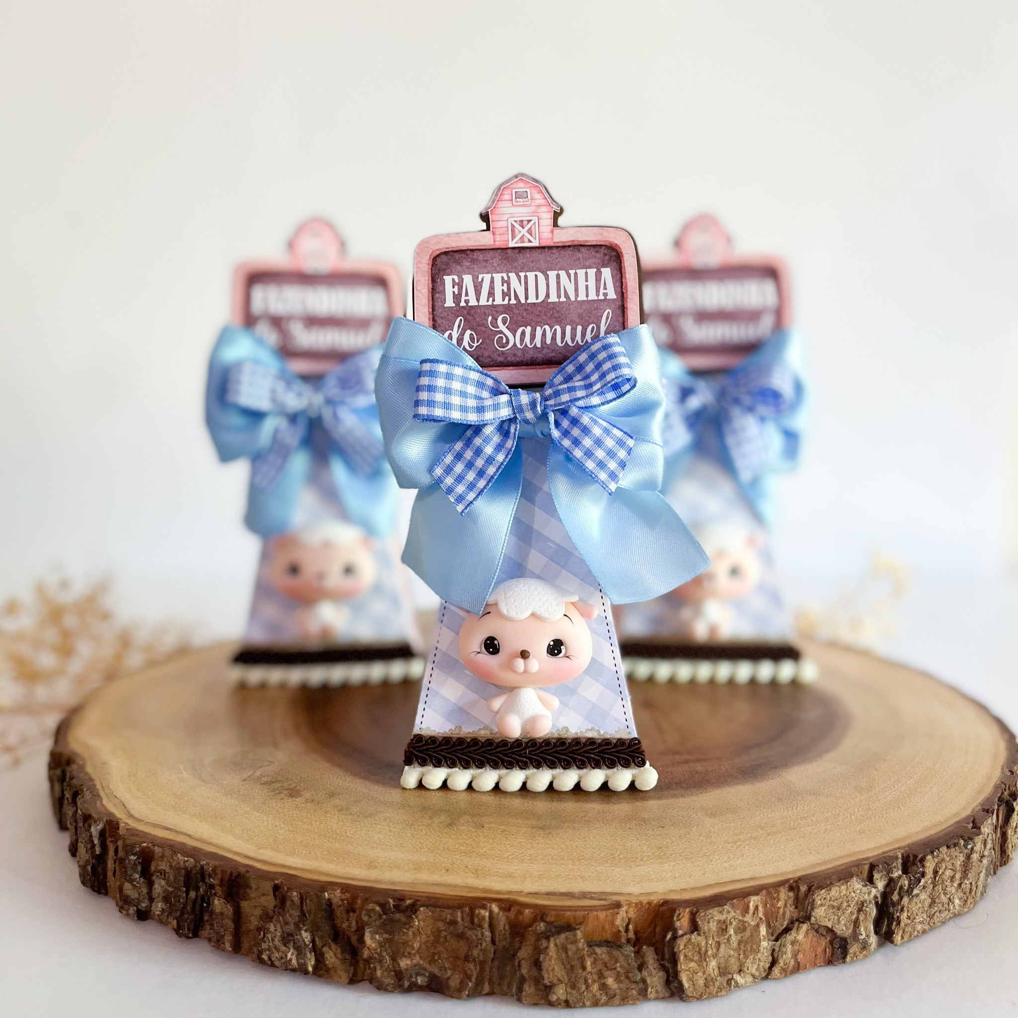 Farm Boy 2-Set 20pcs
