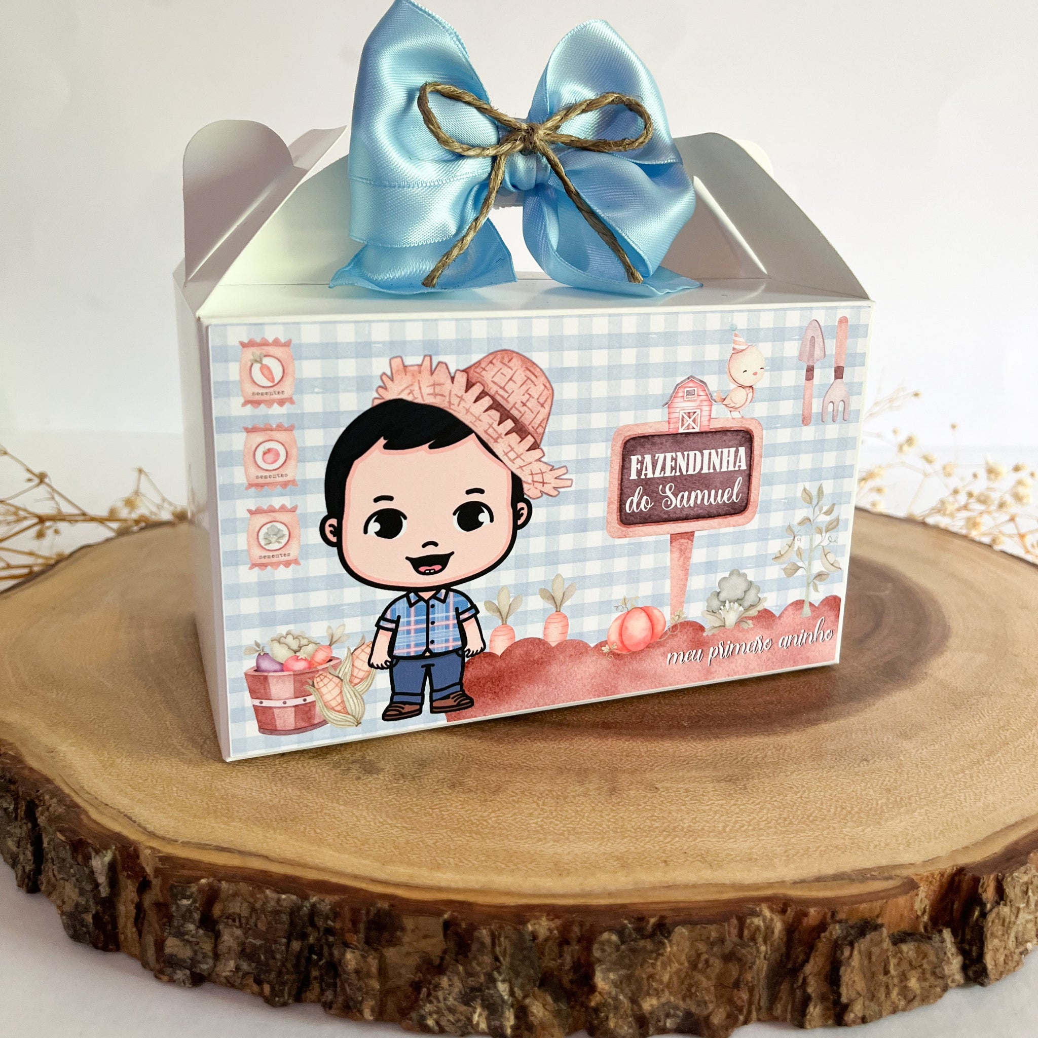 Farm Boy Set 10pcs